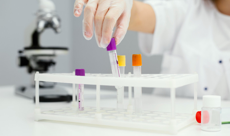 Обследование за 1 день